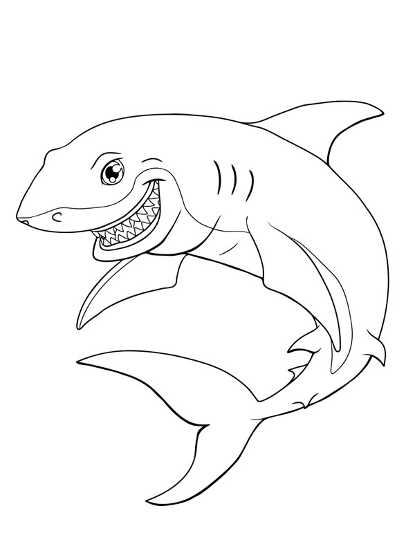 haai Kleurplaat
