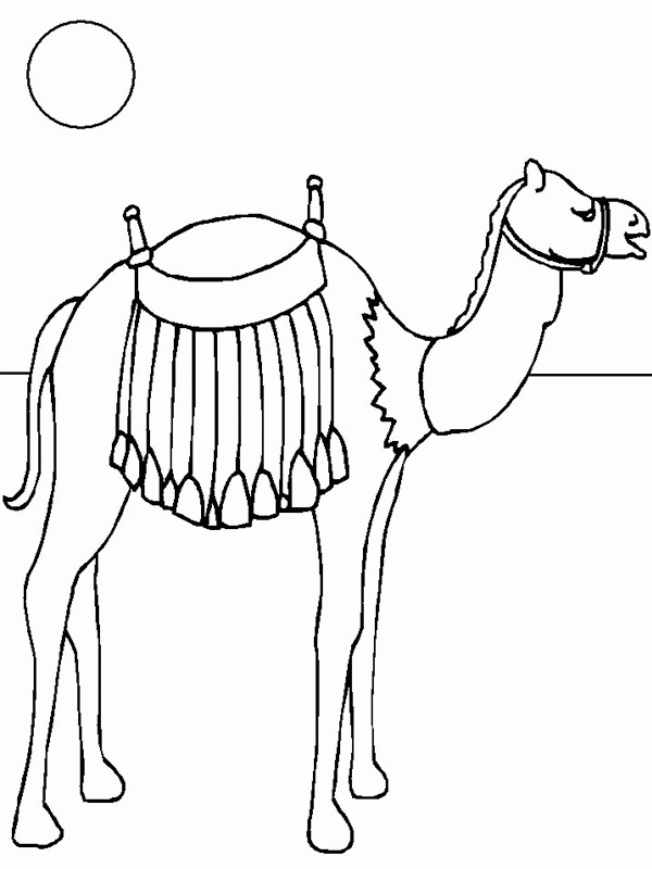 kameel Kleurplaat