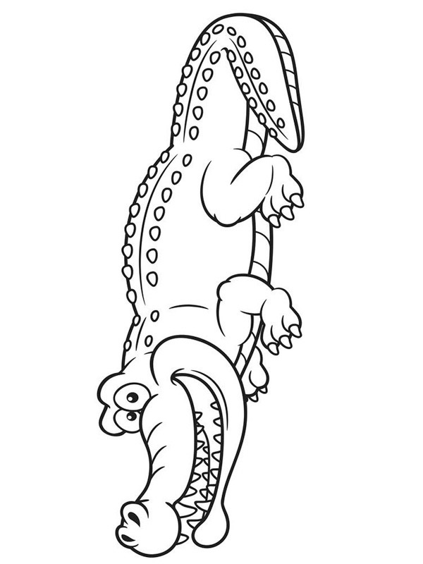 krokodil Kleurplaat krokodil Kleurplaat