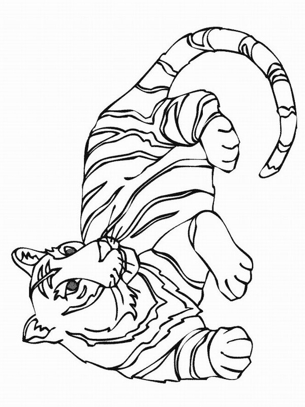 tijger Kleurplaat