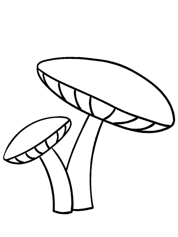2 paddenstoelen Kleurplaat