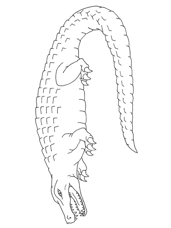 Krokodil Kleurplaat