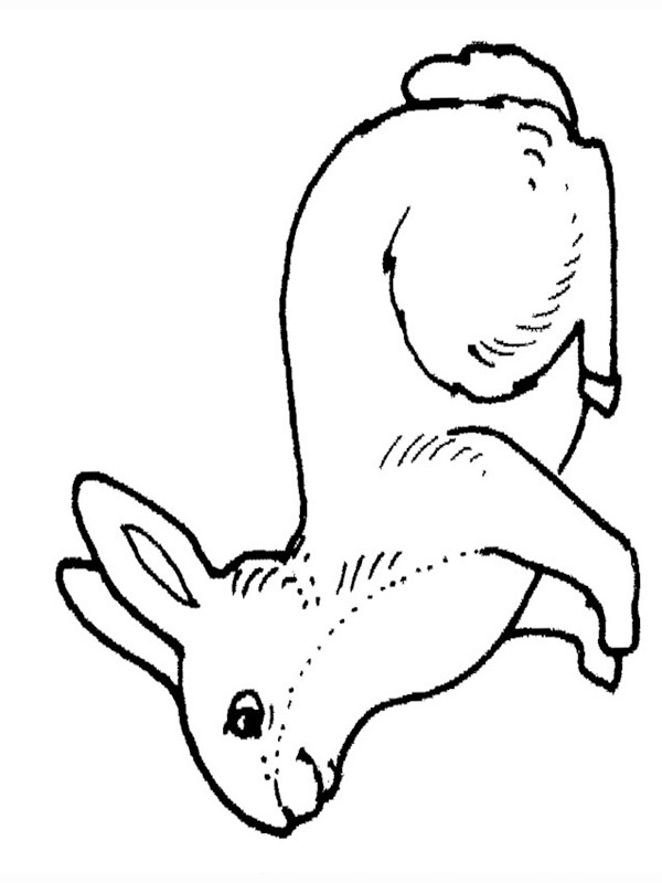 konijn Kleurplaat