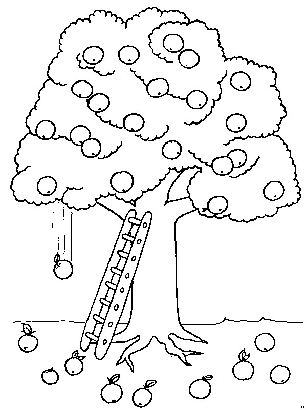 Appelboom Kleurplaat