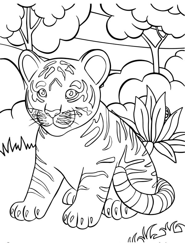 Baby tijger (welp) Kleurplaat