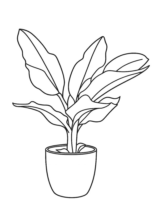 Bananenplant kleurplaat Bananenplant kleurplaat