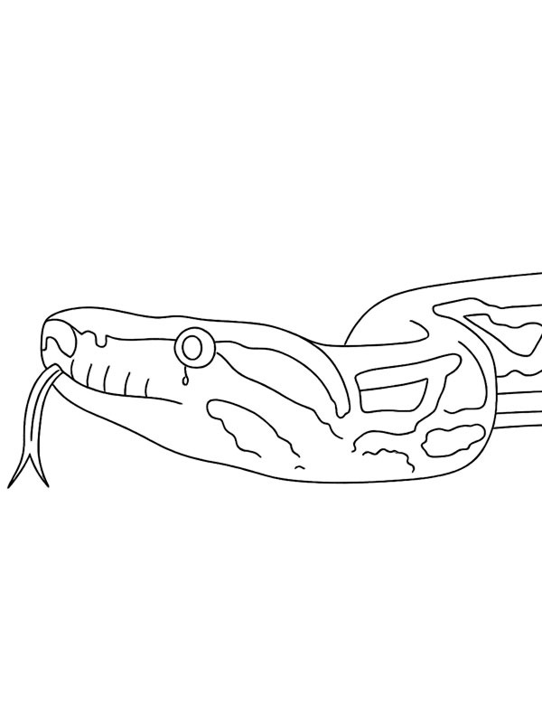 Boa constrictor kleurplaat Boa constrictor kleurplaat