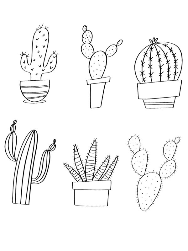 Cactussen Kleurplaat