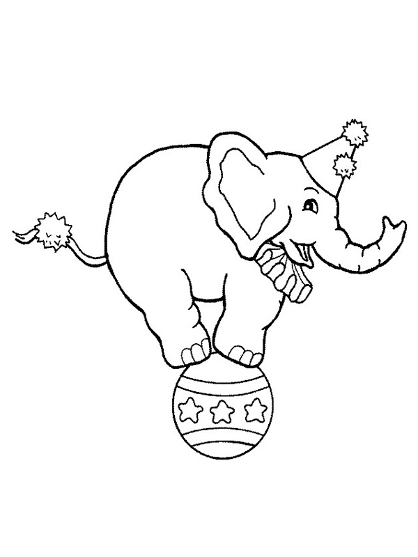 Circusolifant op een bal Kleurplaat