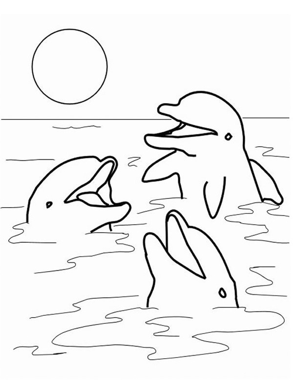 dolfijnen in zee Kleurplaat