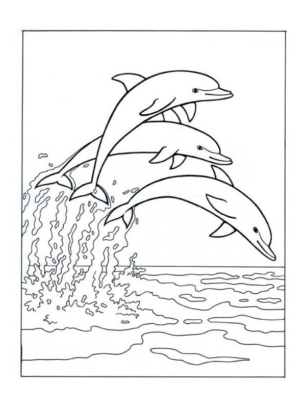 Dolfijnen springen In de zee Kleurplaat