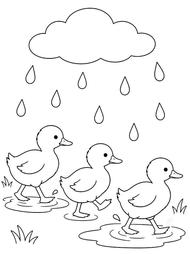 Eendjes lopen in de regen kleurplaat Eendjes lopen in de regen kleurplaat