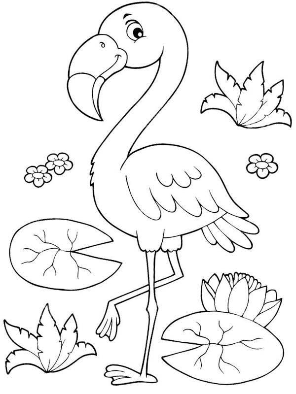Flamingo Kleurplaat