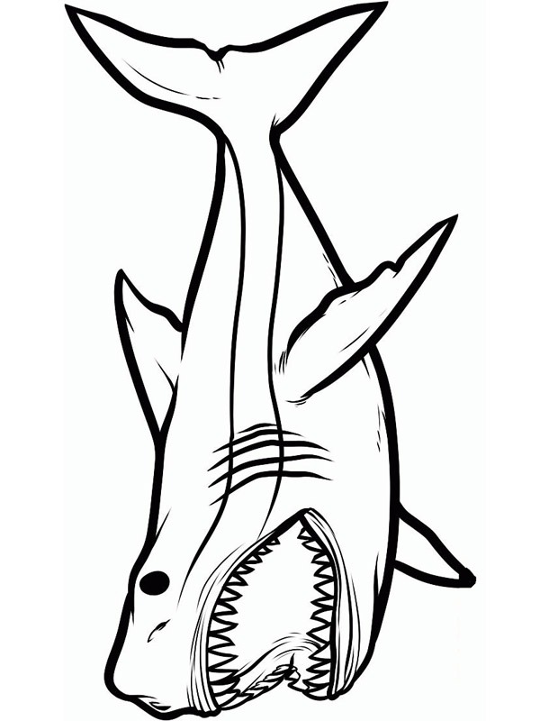 gevaarlijke haai Kleurplaat