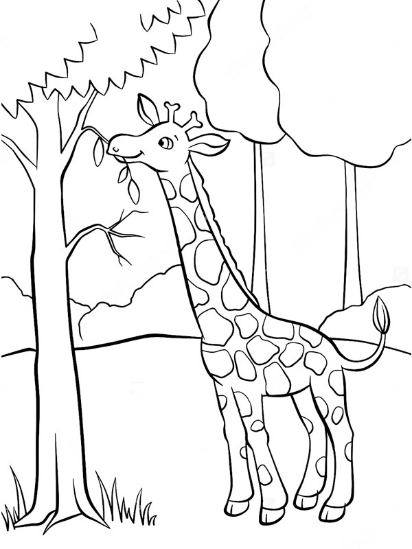 Giraf eet aan boom Kleurplaat