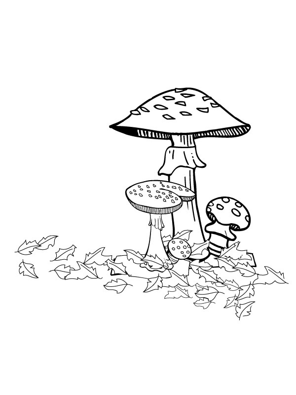 herfst paddenstoelen Kleurplaat