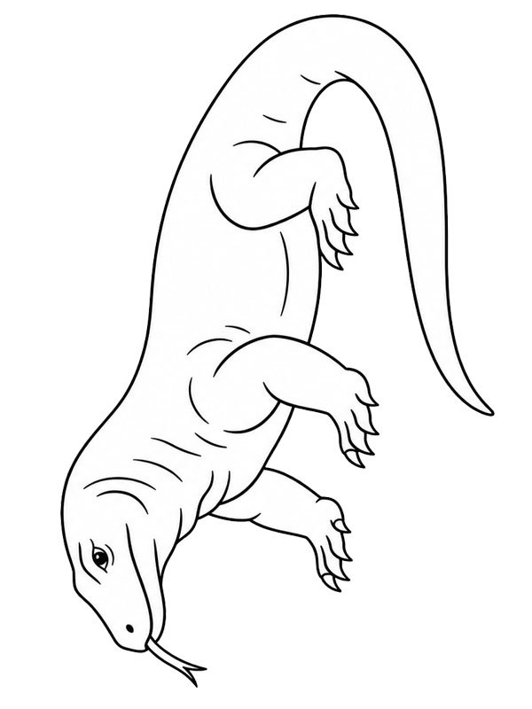 Komodovaraan kleurplaat Komodovaraan kleurplaat
