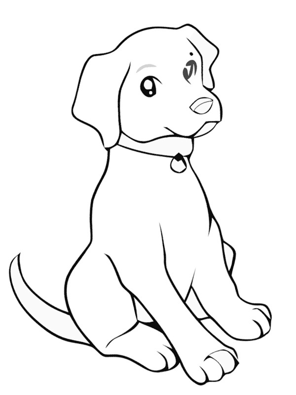 Labrador puppy Kleurplaat
