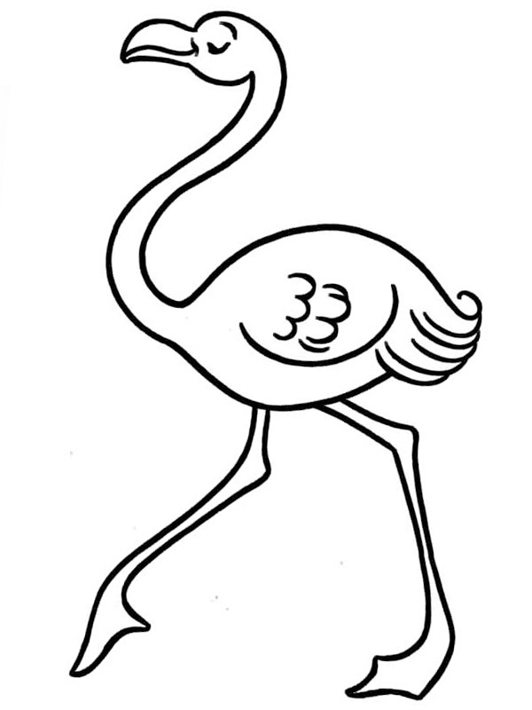 Lopende flamingo Kleurplaat