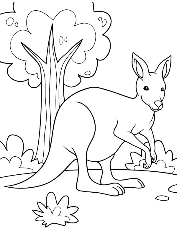 Mooie kangoeroe Kleurplaat