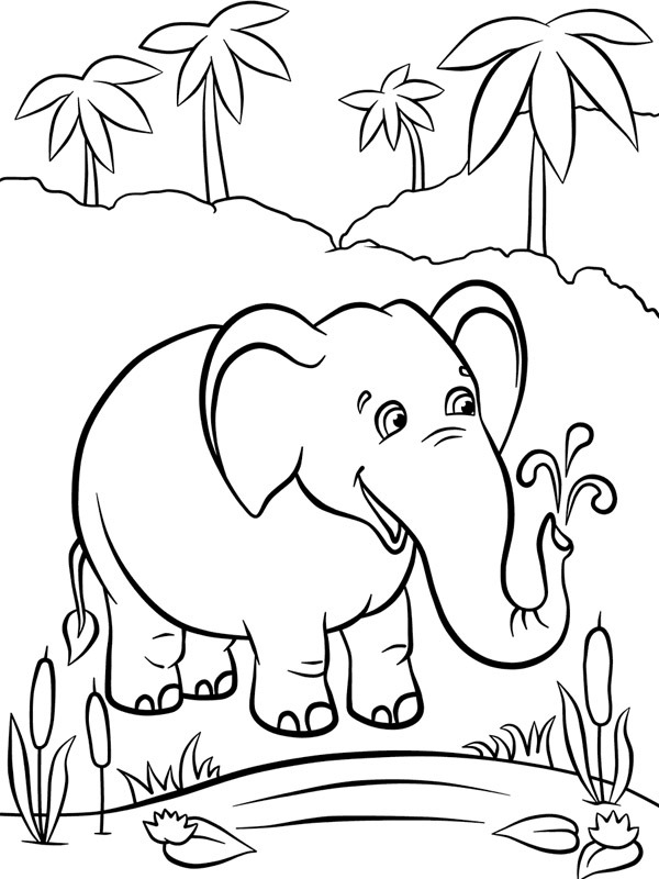 olifant bij het water Kleurplaat