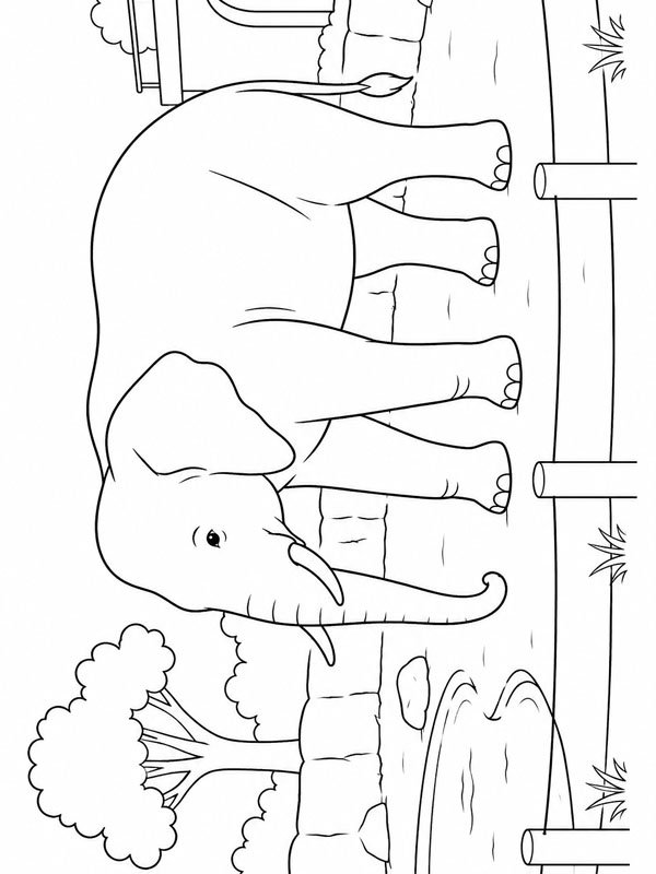 Olifant in de dierentuin kleurplaat