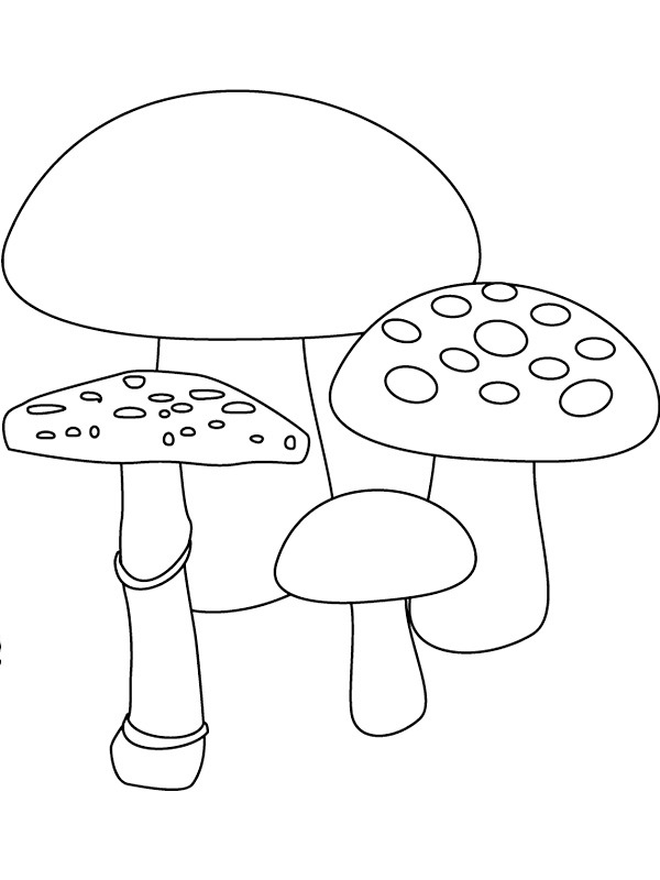 4 paddenstoelen Kleurplaat