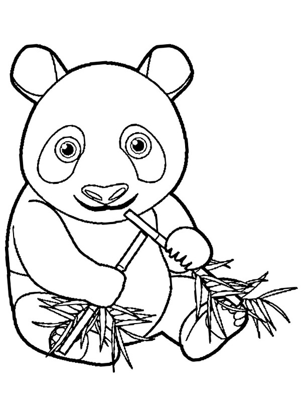 Panda eet bamboe Kleurplaat