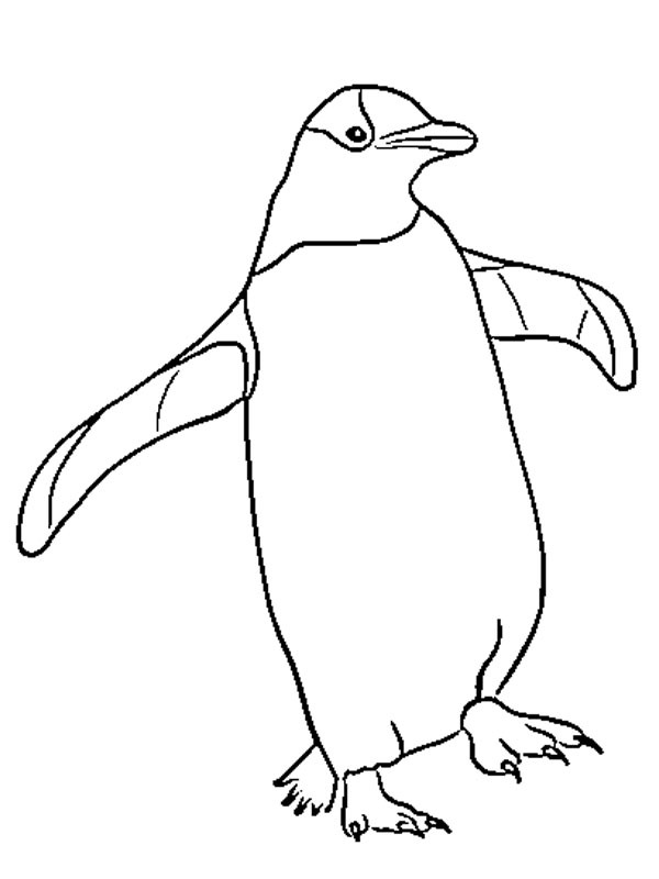 pinguin Kleurplaat