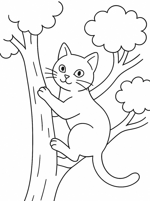 Poes klimt in een boom kleurplaat Poes klimt in een boom kleurplaat