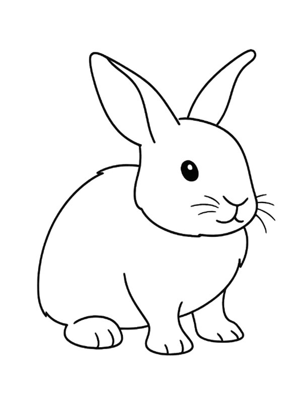 Schattig konijn kleurplaat Schattig konijn kleurplaat