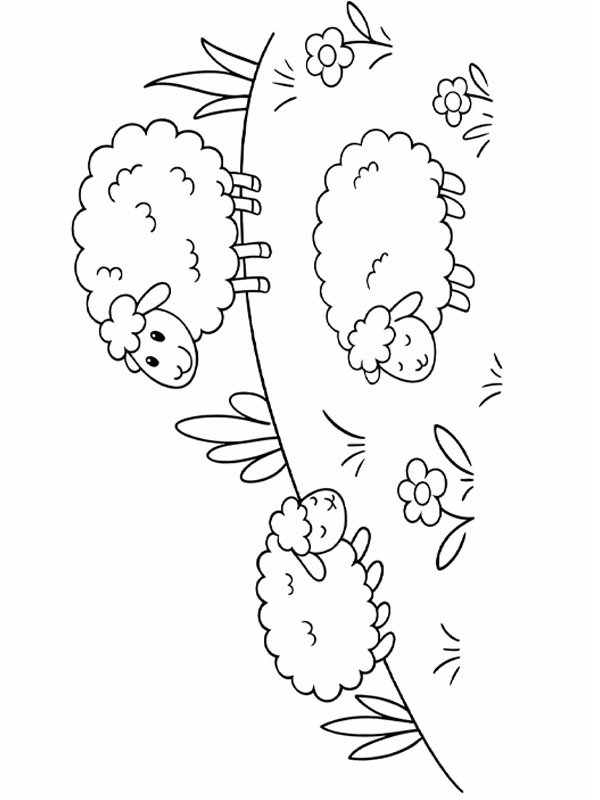 Schattige schapen in de wei kleurplaat Schattige schapen in de wei kleurplaat