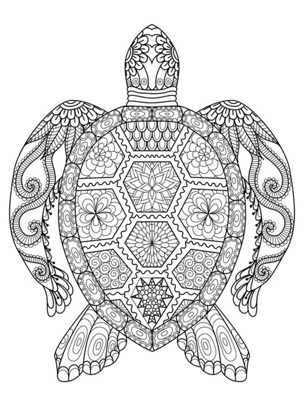 schildpad mandala tattoo Kleurplaat