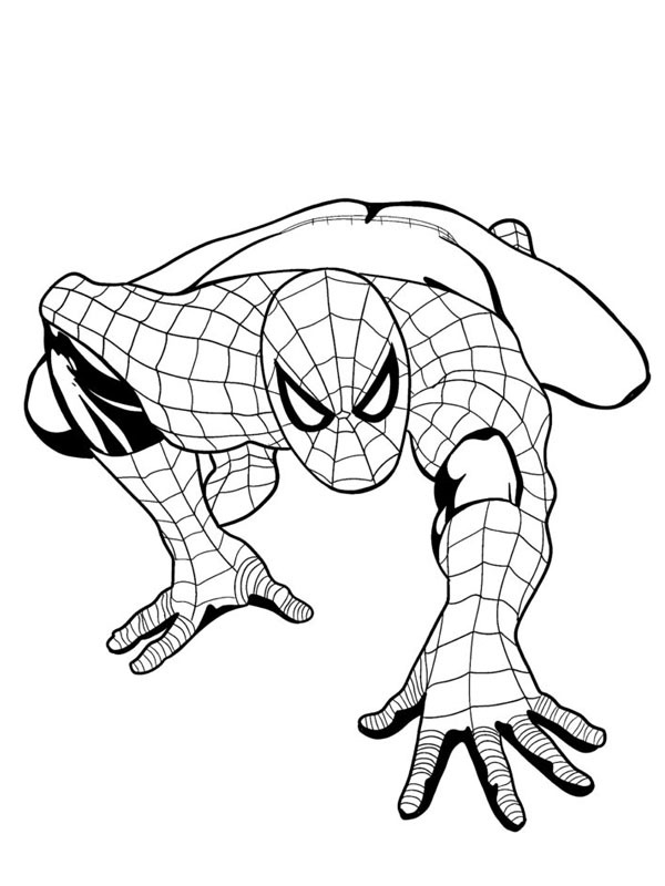 Spiderman kruipt Kleurplaat