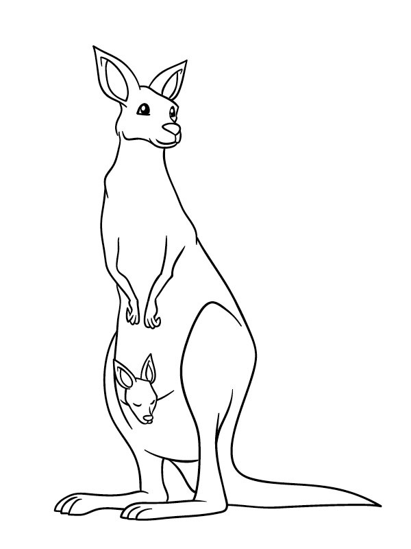 Staande kangoeroe met baby Kleurplaat
