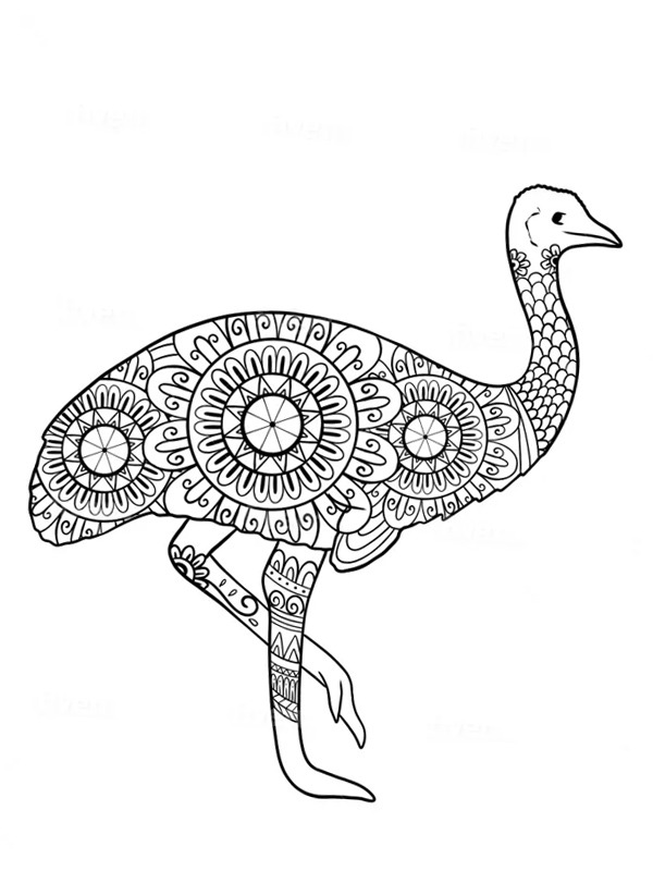 Struisvogel mandala Kleurplaat
