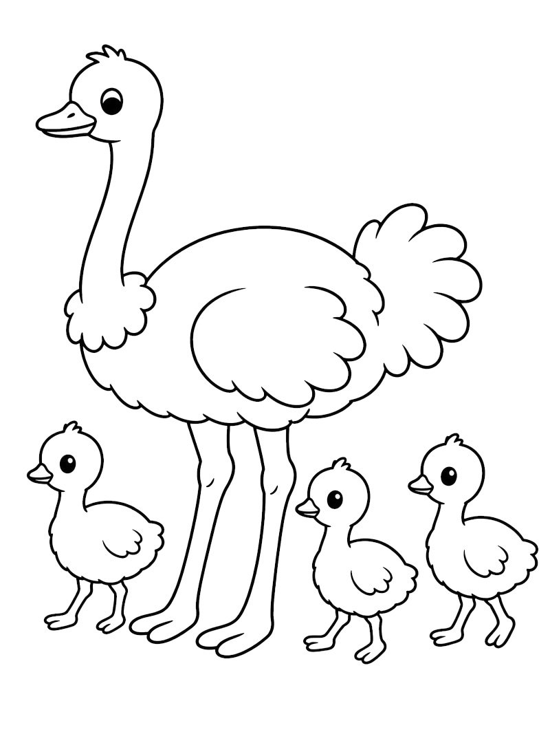 Struisvogel met kuikens kleurplaat