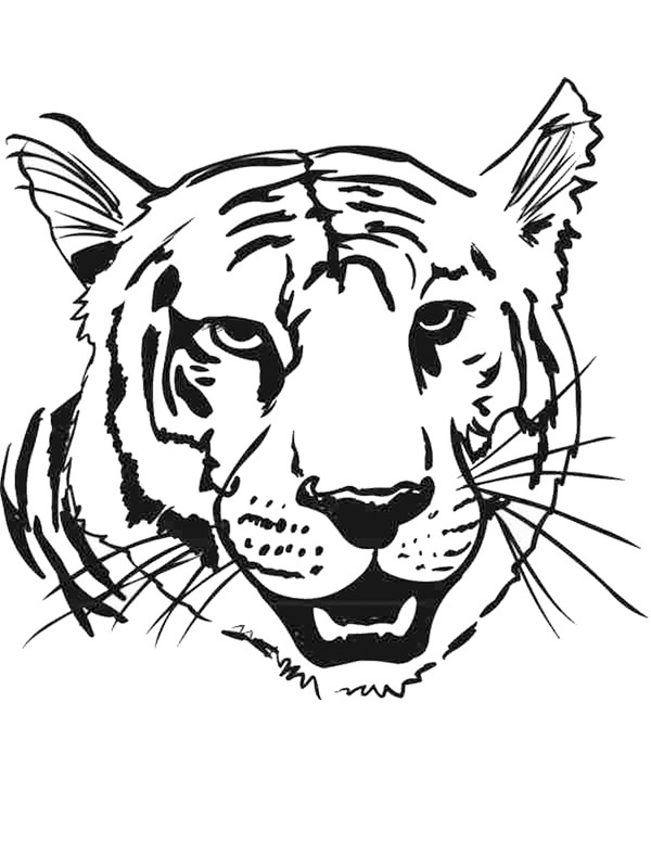 tijger hoofd Kleurplaat