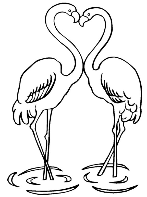 Verliefde flamingos Kleurplaat