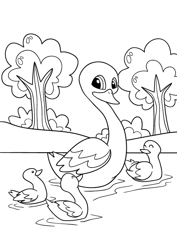 Zwaan met jonge zwaantjes Kleurplaat