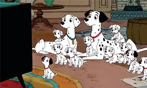 101 Dalmatiërs